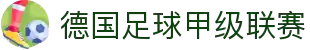 德国足球甲级联赛 - 官方中文网站
